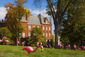 flamingos, UW-Madison, Bascom Hill, Science Hall, University of Wisconsin