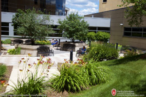 Garden, courtyard, HSLC, Health Sciences Learning Center, UW Hospital, Boxer Passageway