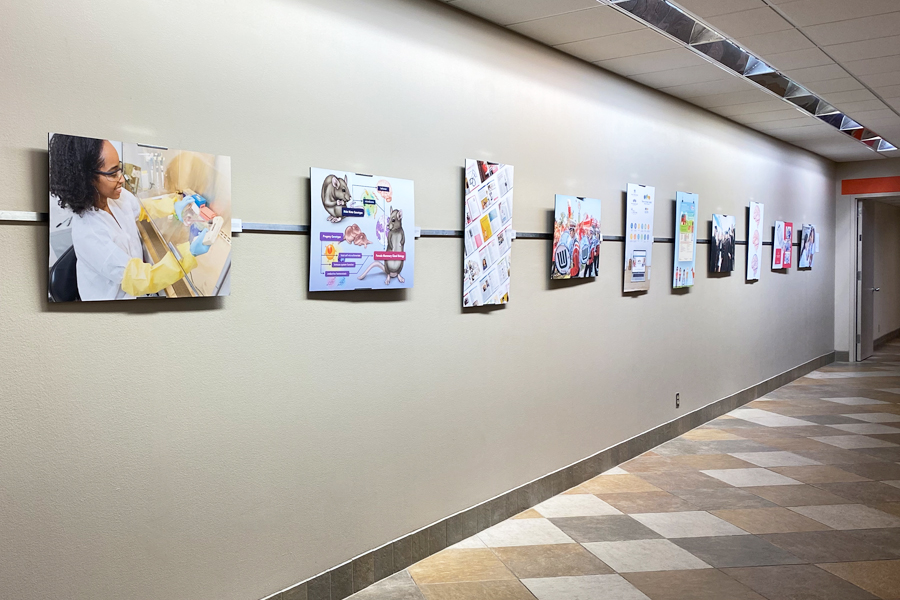 Picture of the Media Solutions exhibit in UW Hospital hallway between the J and K elevators.