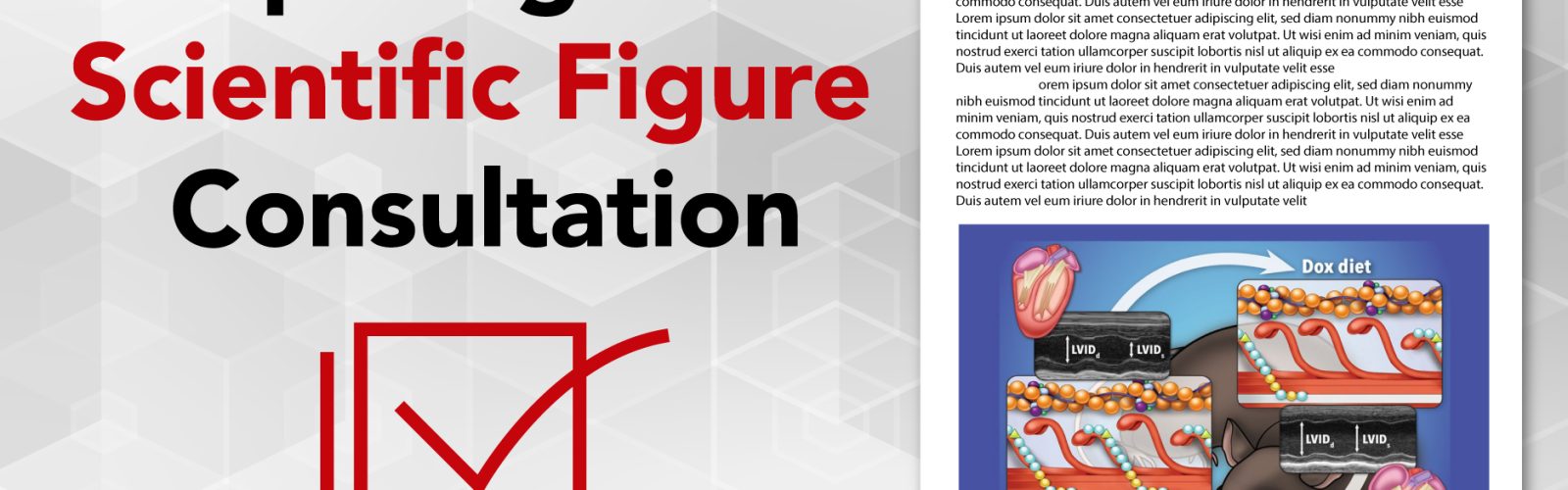 'Preparing for a Scientific Figure Consultation' w/ scientific illustration and journal article