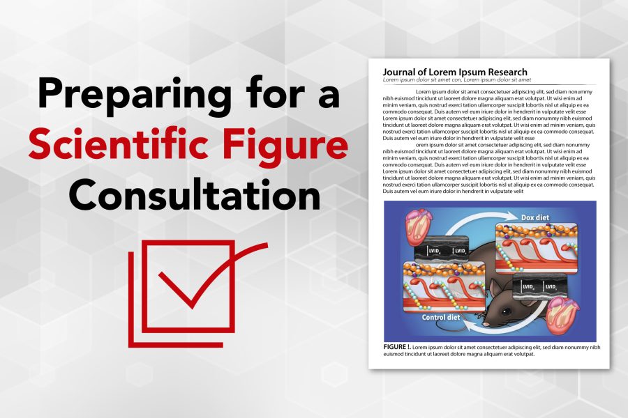 'Preparing for a Scientific Figure Consultation' w/ scientific illustration and journal article