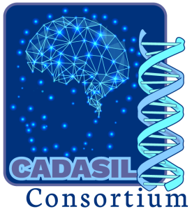 Logo: Blue, teal, dark elements in background with star points outlining human profile esp brain area, + dna strand + text: 'Cadasil Consortium'