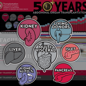 icons, stylized simplified illustrations of different organs and types of transplantation: kidney, liver, multi-visceral, living donors, islet, pancreas, kidney auto-tx