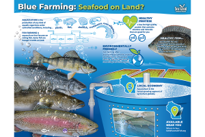 colorful illustrated poster shows fish species and land-based farming systems and how it works