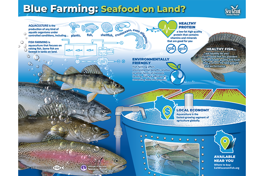 colorful illustrated poster shows fish species and land-based farming systems and how it works