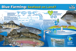 Sea Grant infograph illustrated with fish species and land-based farming systems