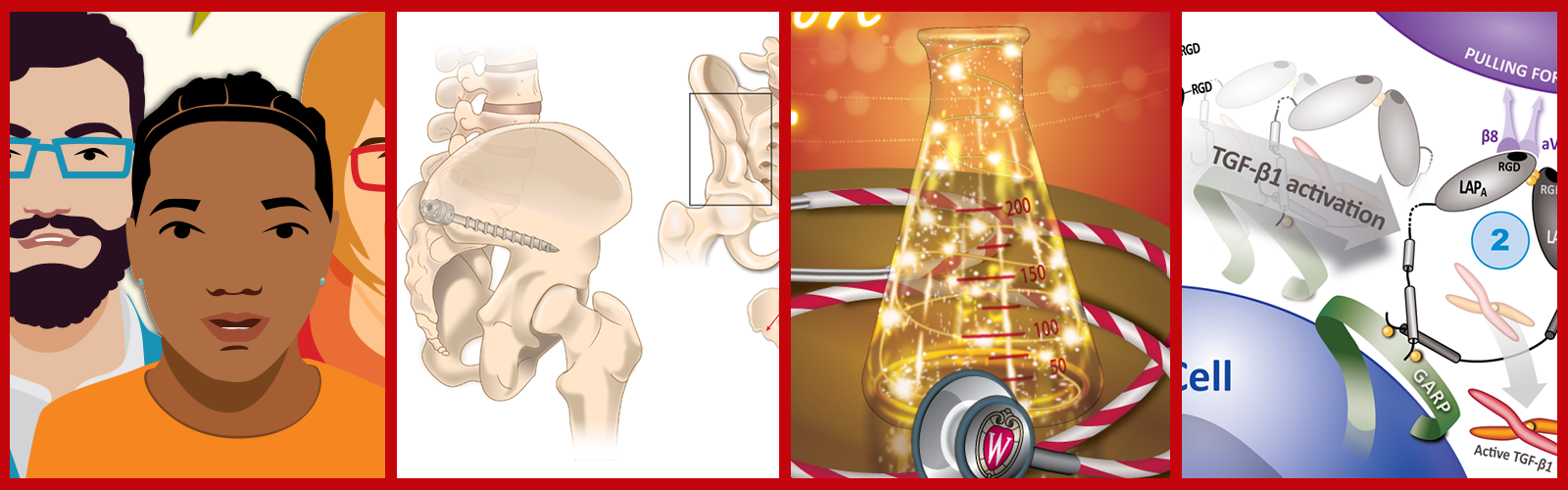 Illustration variety from left to right: graphic stylized illustration of diverse faces, medical illustration of bones and screw, illustration of a beaker with lights in side it and stethoscope around it, scientific illustration of cells and arrows indicating transformation